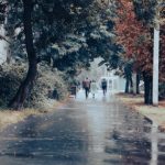 Нестабилно време во Пелагонија: дожд и заладување носат ризик за хронично болните и за необраните овошки
